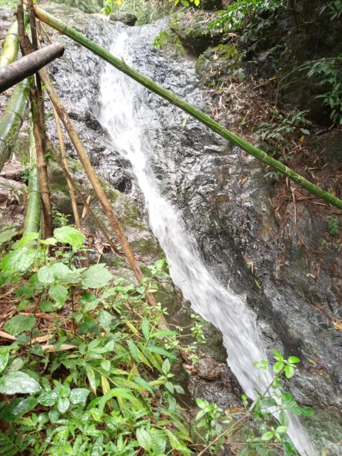 Antipolo Rizal -Tent Site-Forest Camp Adventure-With Hike & Climb Hotel Exterior photo