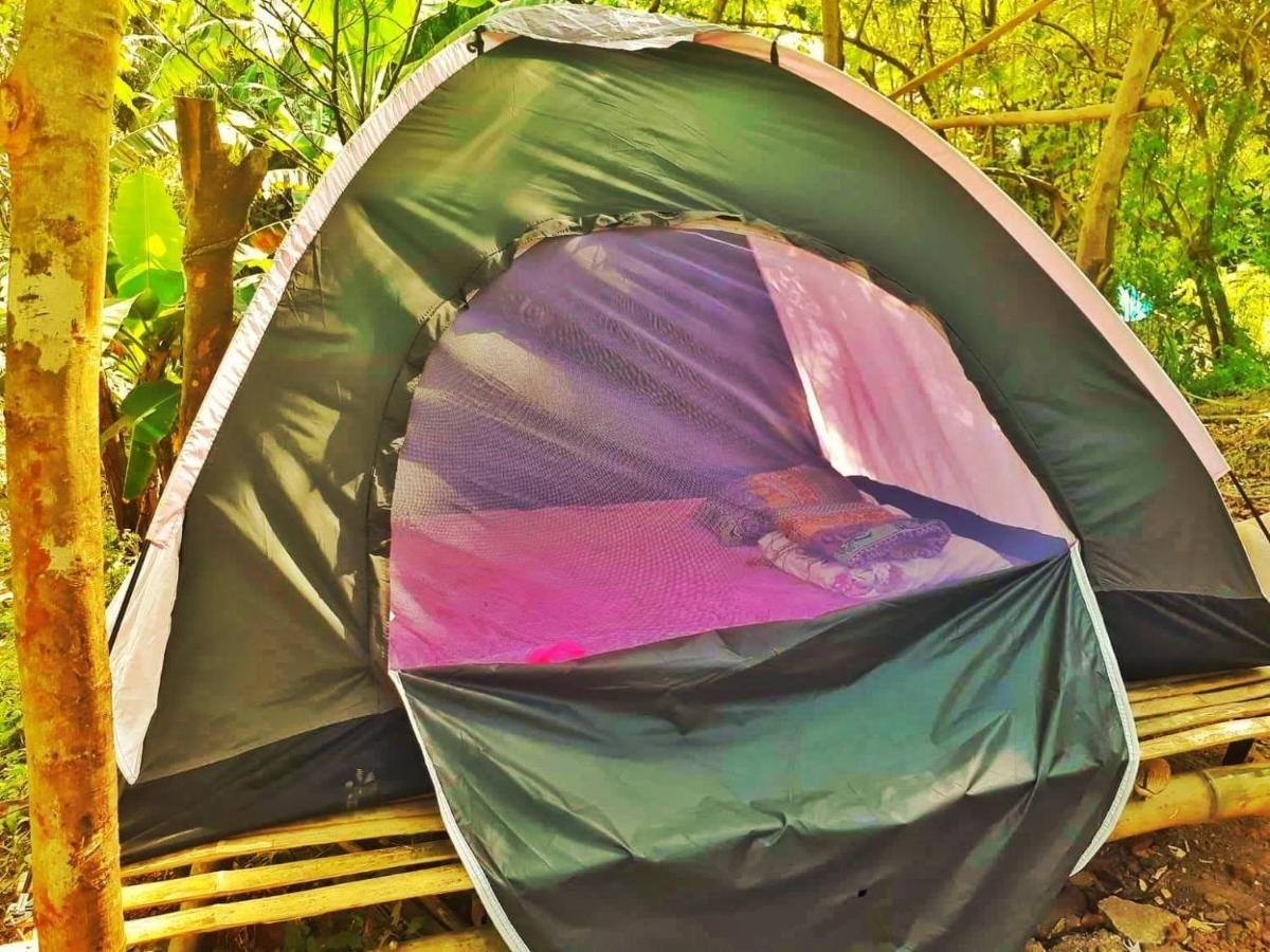 Antipolo Rizal -Tent Site-Forest Camp Adventure-With Hike & Climb Hotel Exterior photo